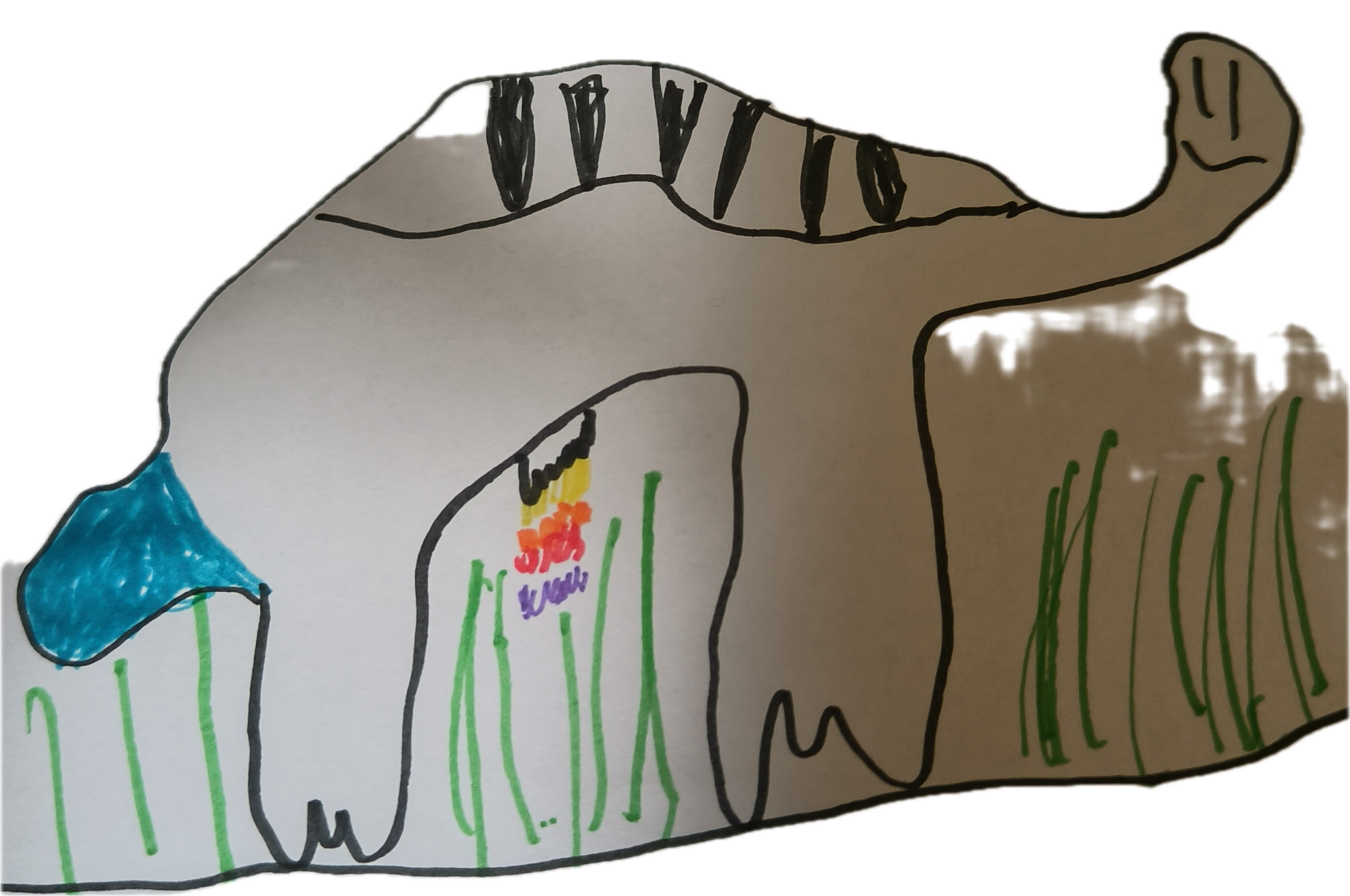 Cow